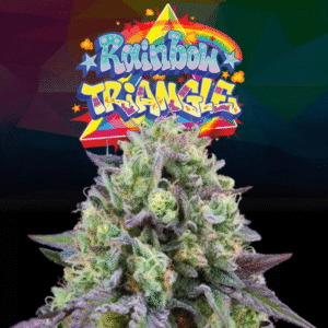 Rainbow Triangle - Perfect Tree