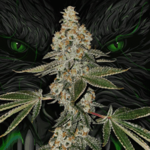 Beasty - T.H Seeds