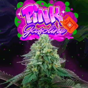 Pink Gasoline - Perfect Tree