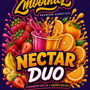 Nectar Duo – Zmoothiez