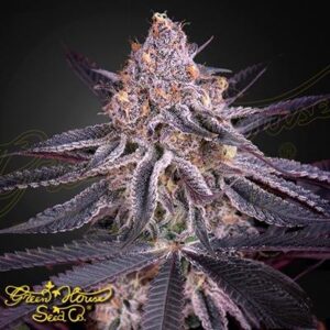 King's Juice - Green House Seed Co