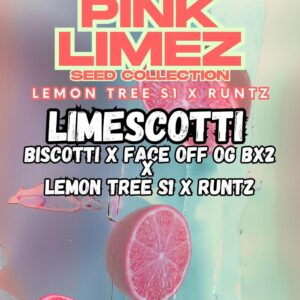LIMESCOTTI - Grounded Genetics