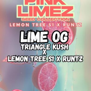 LIME OG - Grounded Genetics