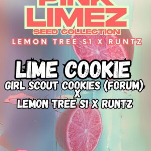 LIME COOKIE - Grounded Genetics