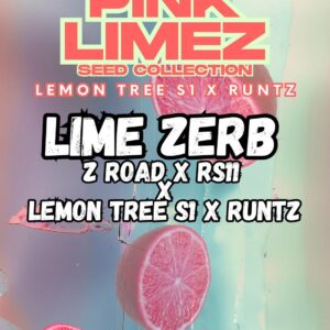 LIME ZERB - Grounded Genetics