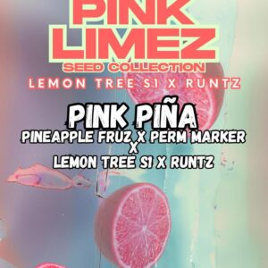 PINK PIÑA - Grounded Genetics