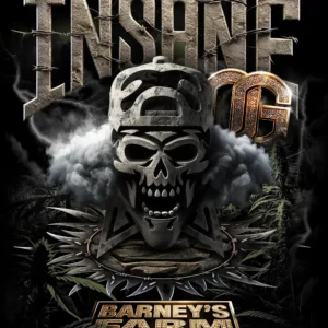Insane OG - Barney’s Farm