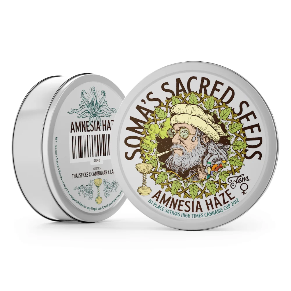 Amnesia Haze – Feminizadas