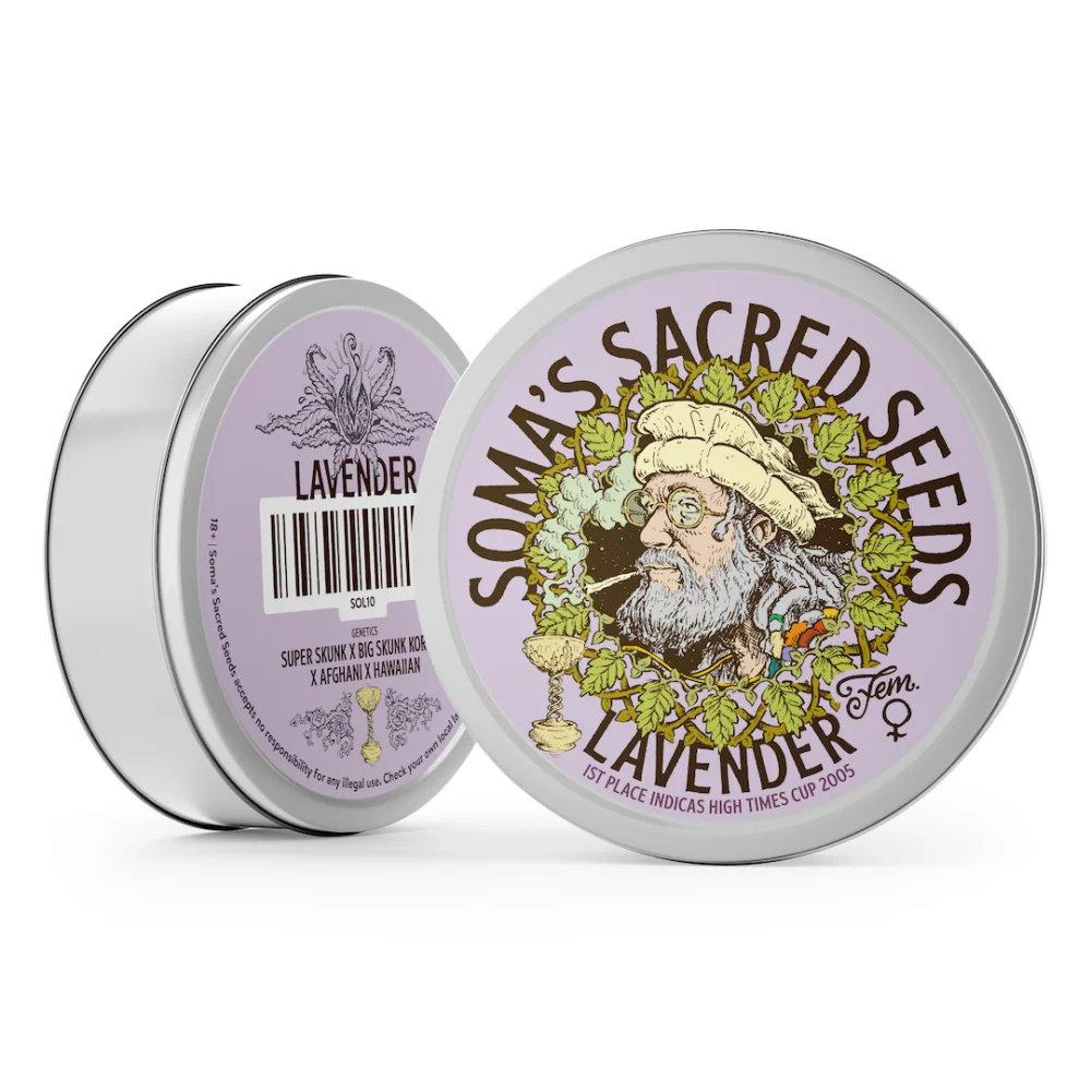 Sementes feminizadas Lavender – Soma's Seeds