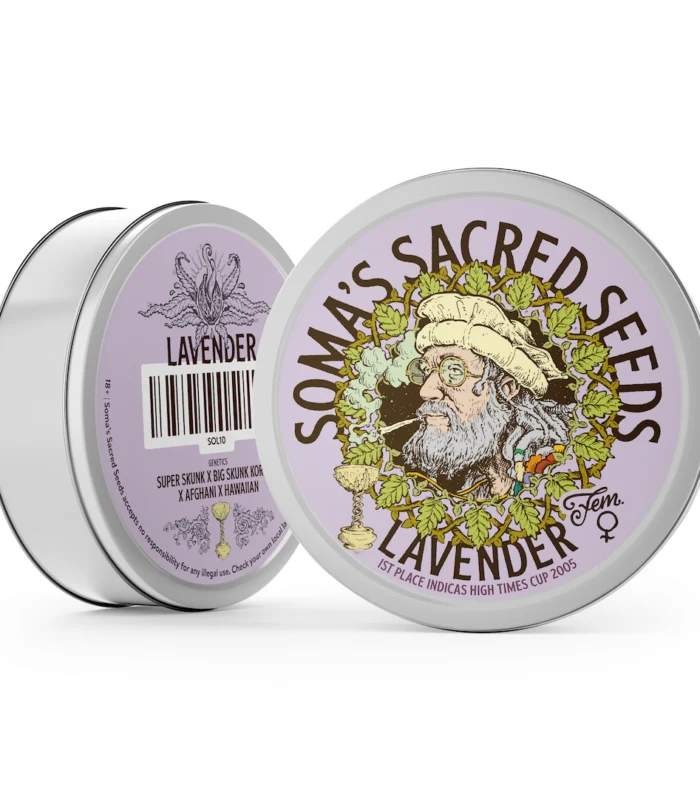 Sementes feminizadas Lavender – Soma's Seeds