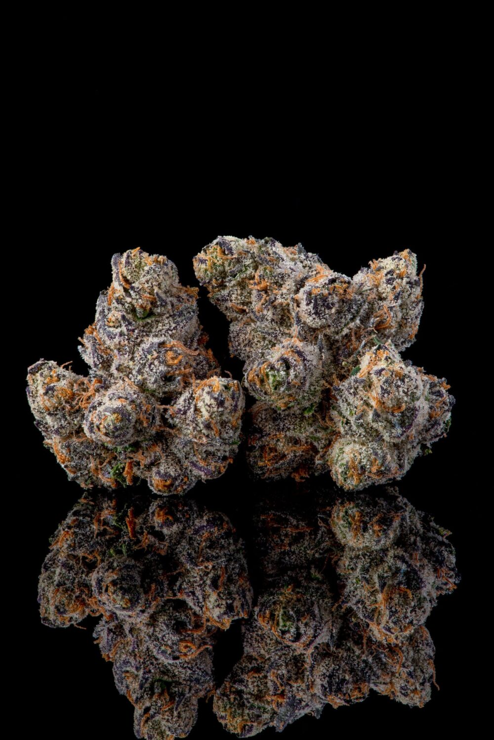 Genética de cannabis Runtz Carlton – Compound Genetics – foto 2