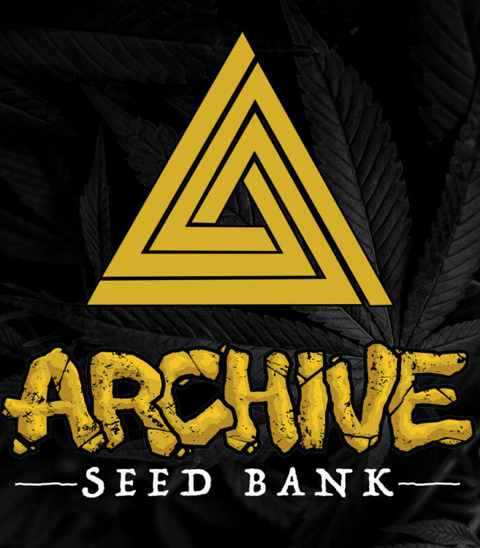 Sementes feminizadas Alien Rock Candy x Dosidos (BRINDE) – Archive Seed Bank