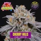 Sementes feminizadas Cherry Hills – Perfect Tree