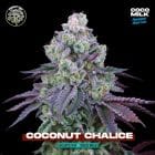 Sementes feminizadas Coconut Chalice – Perfect Tree
