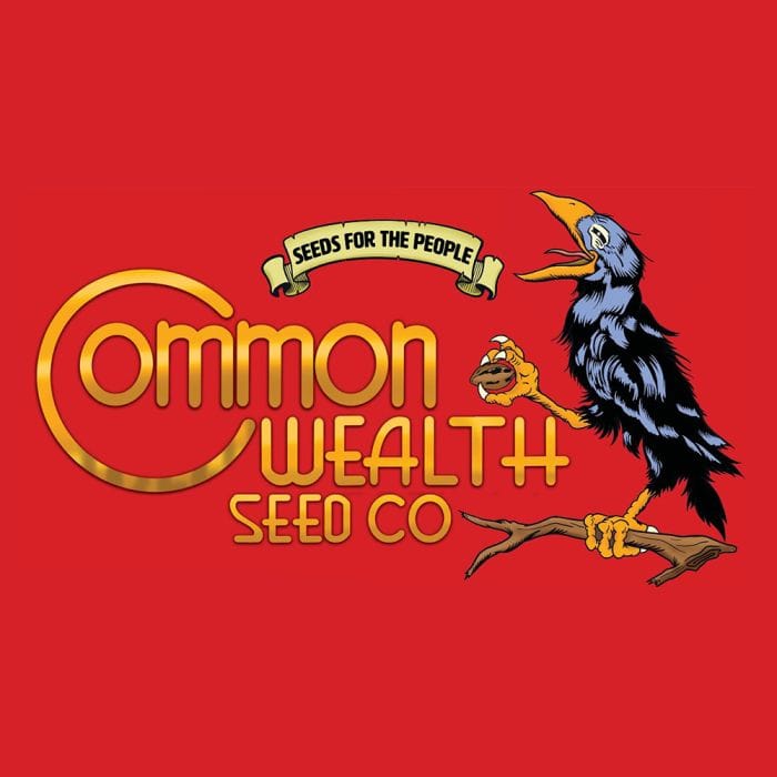 Sementes feminizadas Grape Sunshine – Common Wealth