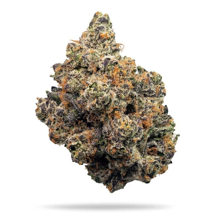 Sementes feminizadas Frosted Fujis – Compound Genetics