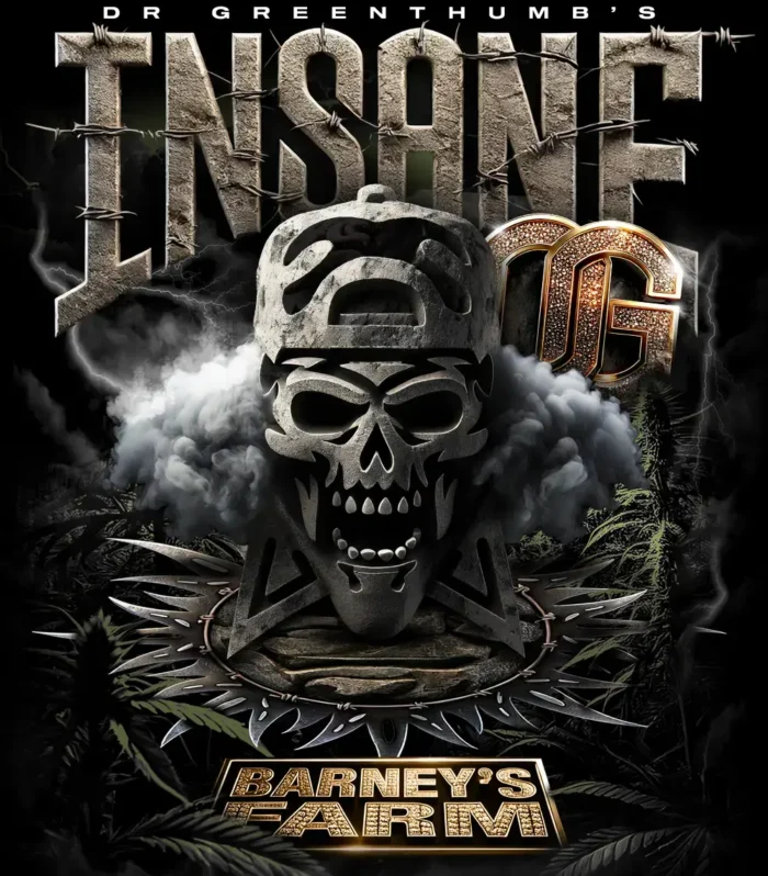 Sementes feminizadas Insane OG – Barneys Farm