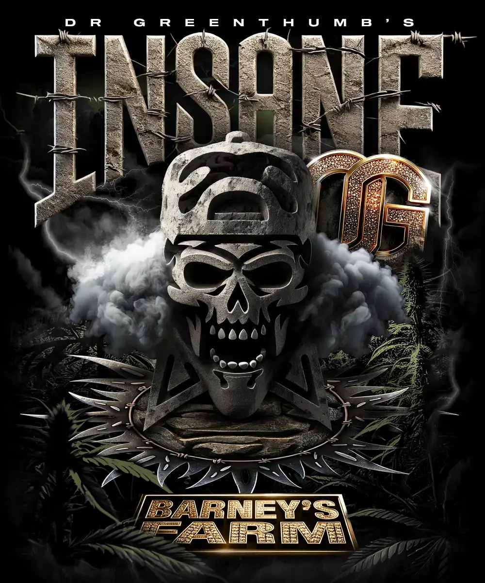 Sementes feminizadas Insane OG – Barneys Farm