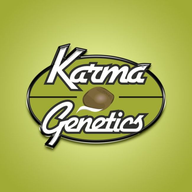 Sementes feminizadas Pina Oz – Karma Genetics