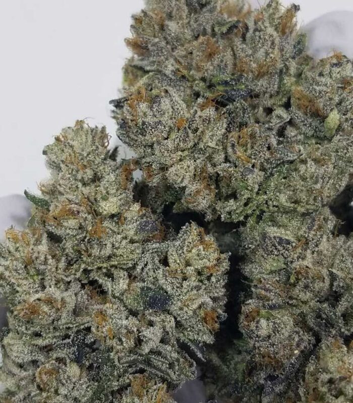 Sementes regulares Sweatband OG – Karma Genetics