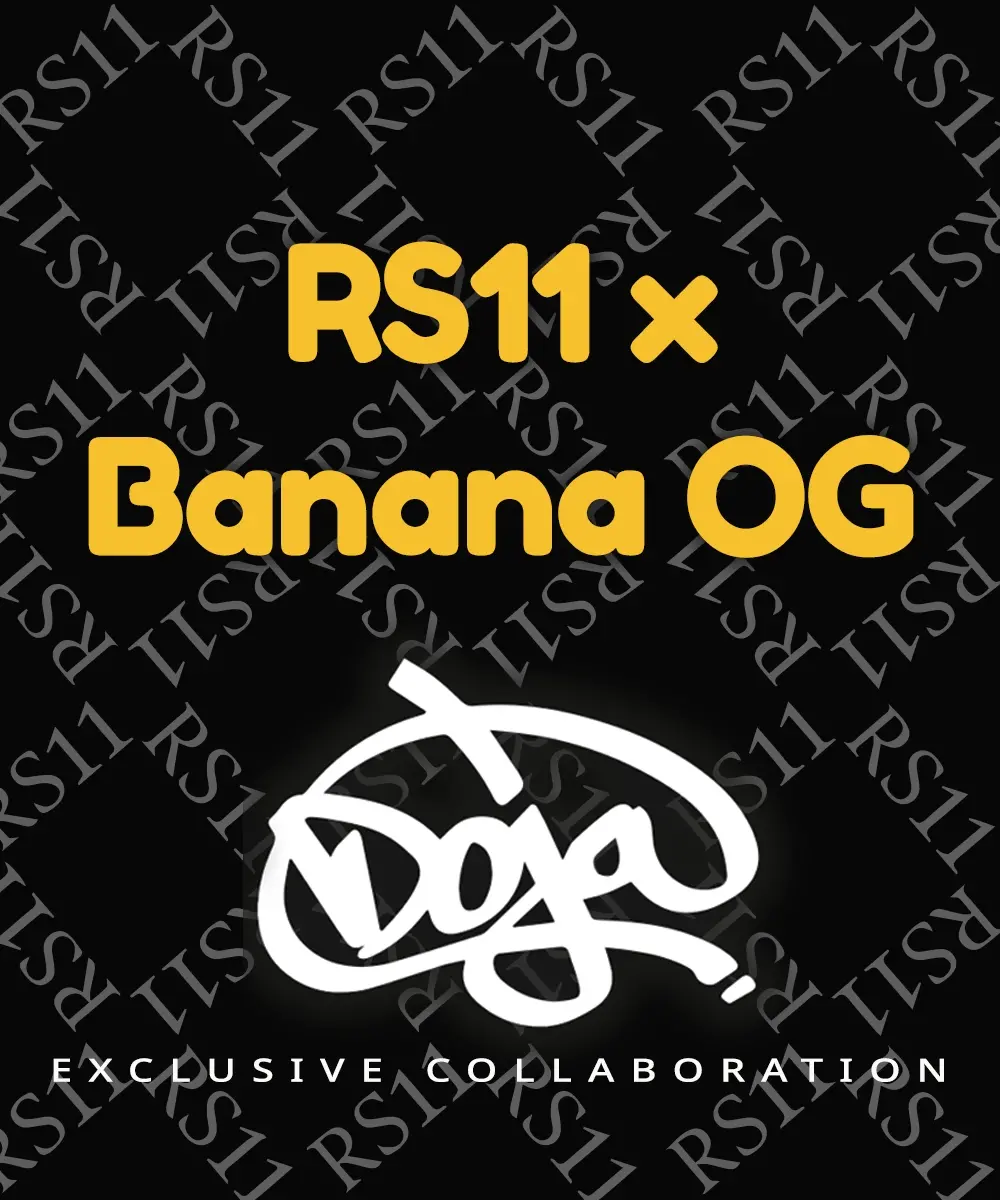 Genética de cannabis RS11 Strain x Banana OG – Barneys Farm – foto 2