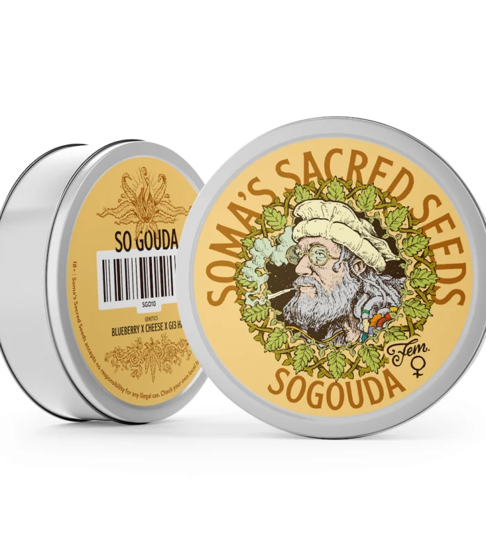 Sementes feminizadas Sogouda – Soma's Seeds