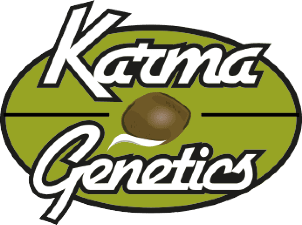 Karma Genetics
