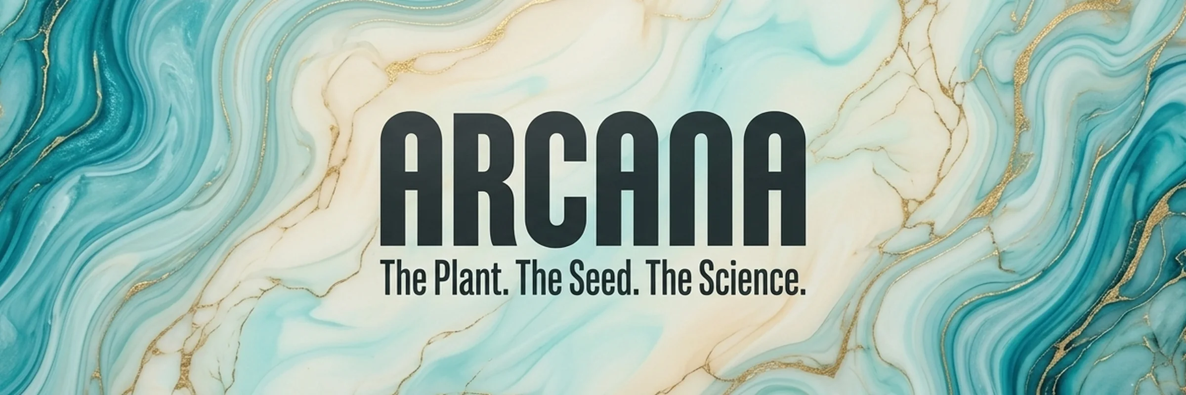 Arcana Collective