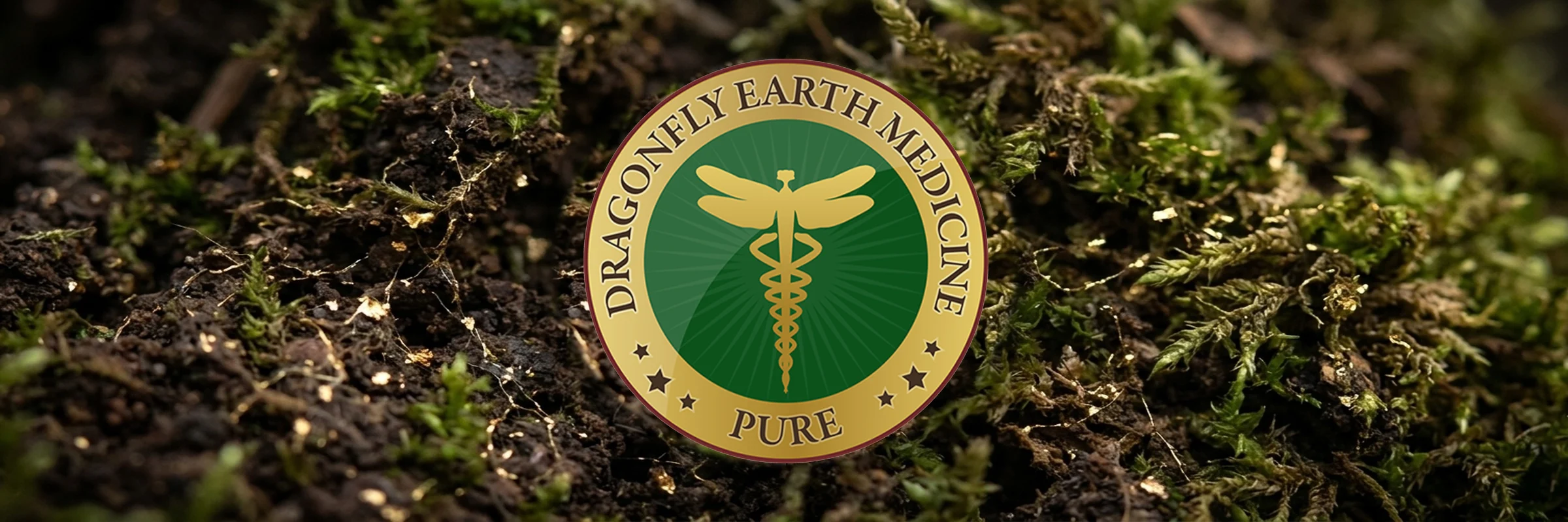 Dragonfly Earth Medicine