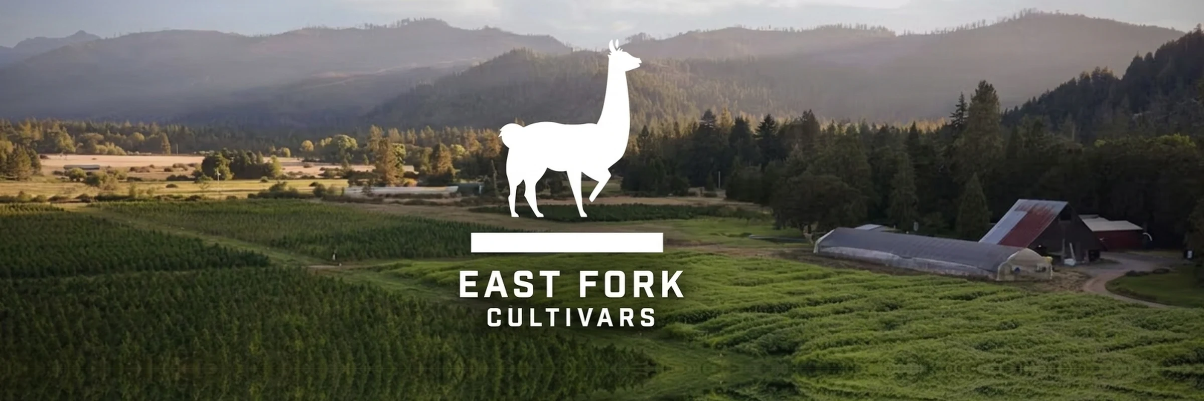 East Fork