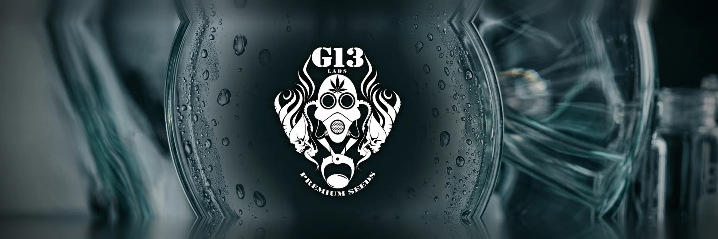 G13 Labs