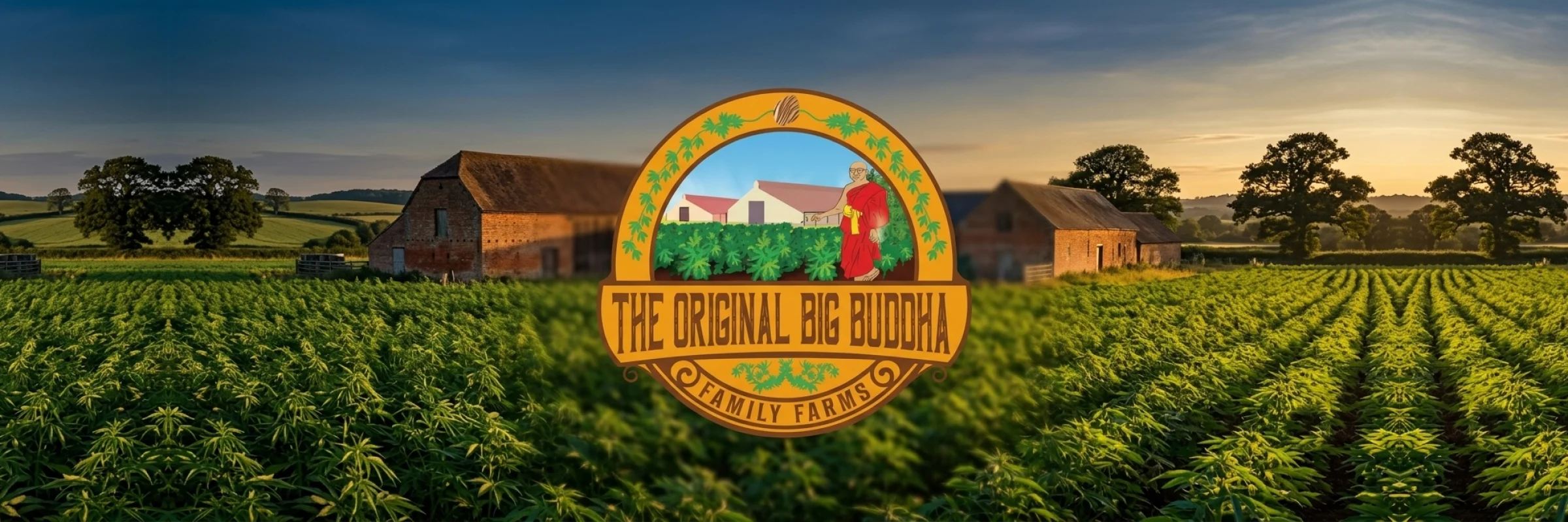 Original Big Buddha Family Farms