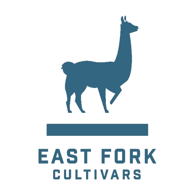 East Fork