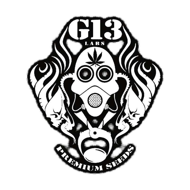 G13 Labs
