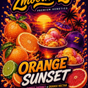 Orange Sunset – Zmoothiez
