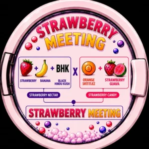 Strawberry Meeting – Zmoothiez