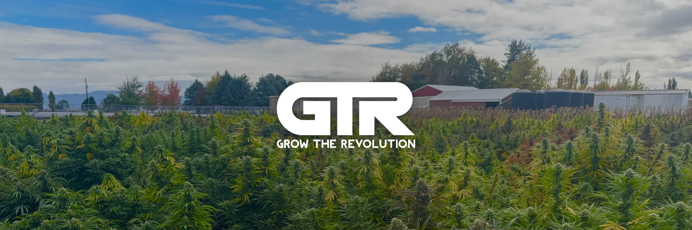 GTR Seeds