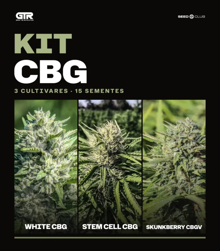 Sementes feminizadas Kit CBG – GTR Seeds