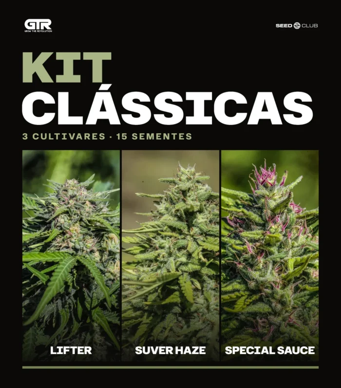 Sementes feminizadas Kit Clássicas – GTR Seeds