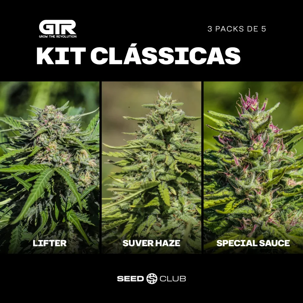Sementes feminizadas Kit Clássicas – GTR Seeds