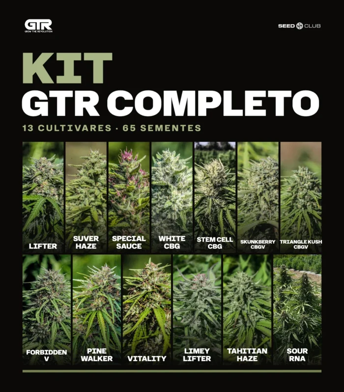 Sementes feminizadas Kit GTR Completo – GTR Seeds