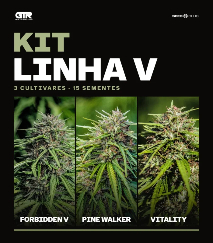Sementes feminizadas Kit Linha V – GTR Seeds