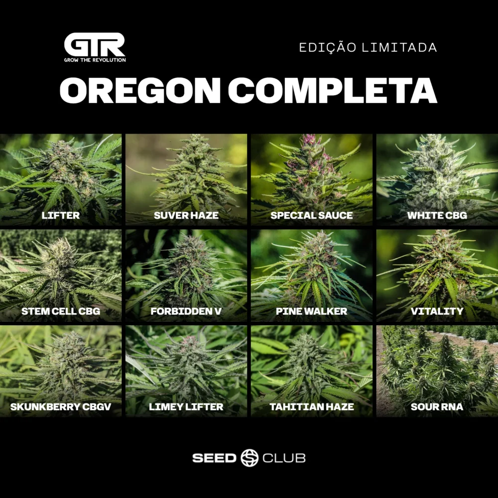 Sementes feminizadas Kit Oregon Completa – GTR Seeds