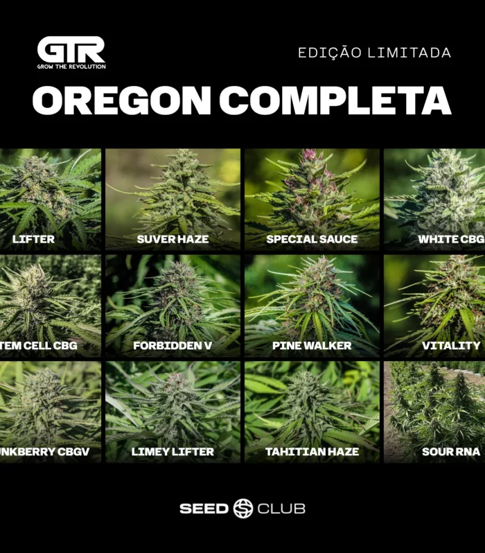 Sementes feminizadas Kit Oregon Completa – GTR Seeds