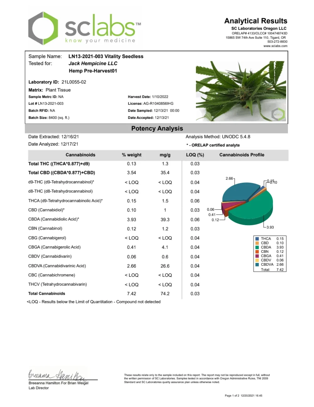 Genética de cannabis Vitality – GTR Seeds – foto 2