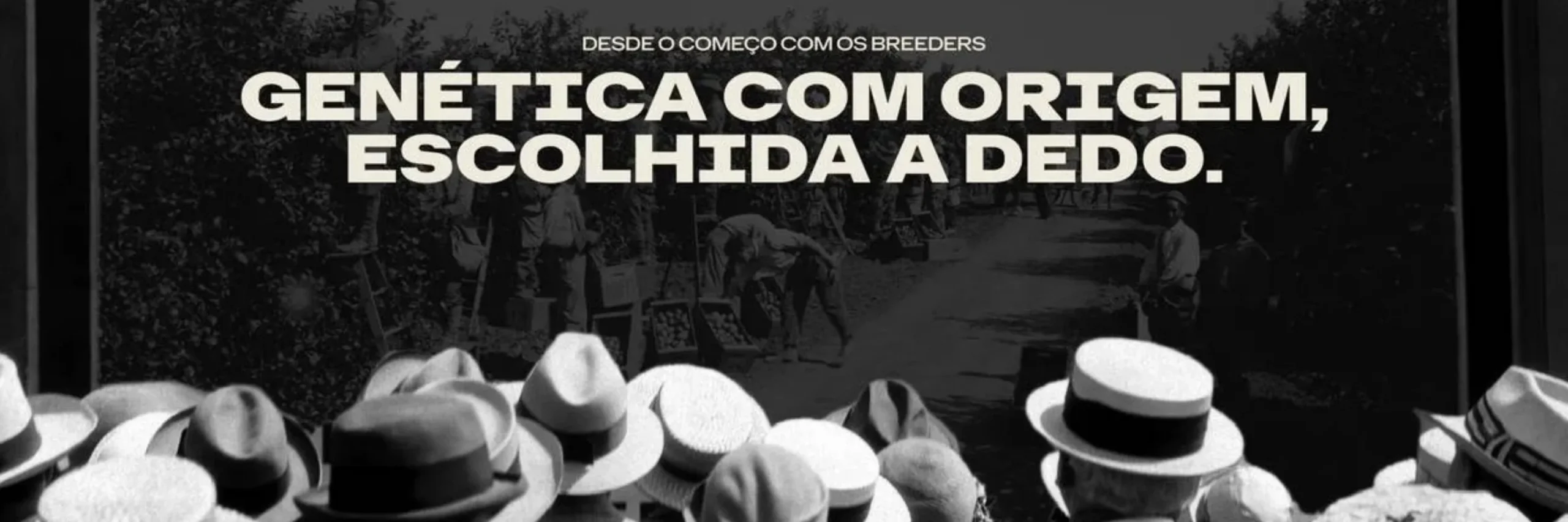 Genética com origem, escolhida a dedo