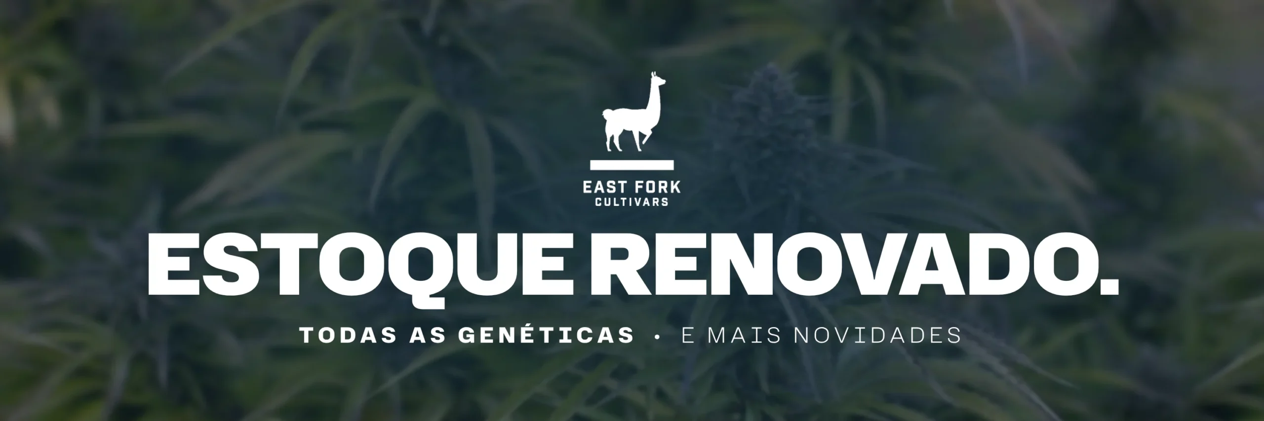 East Fork Cultivars: estoque renovado