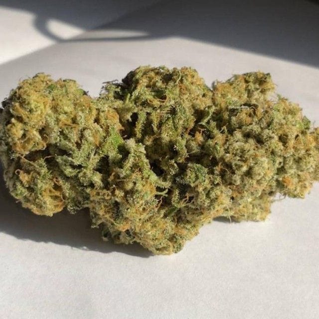 Sementes feminizadas Sherbert Pebbles Feminized by Dank Genetics